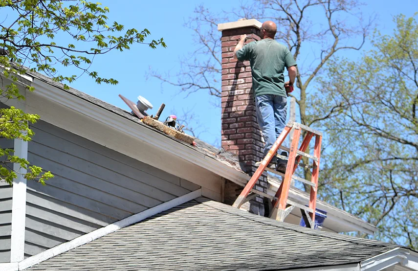 Chimney & Fireplace Inspections Services in Owatonna, MN